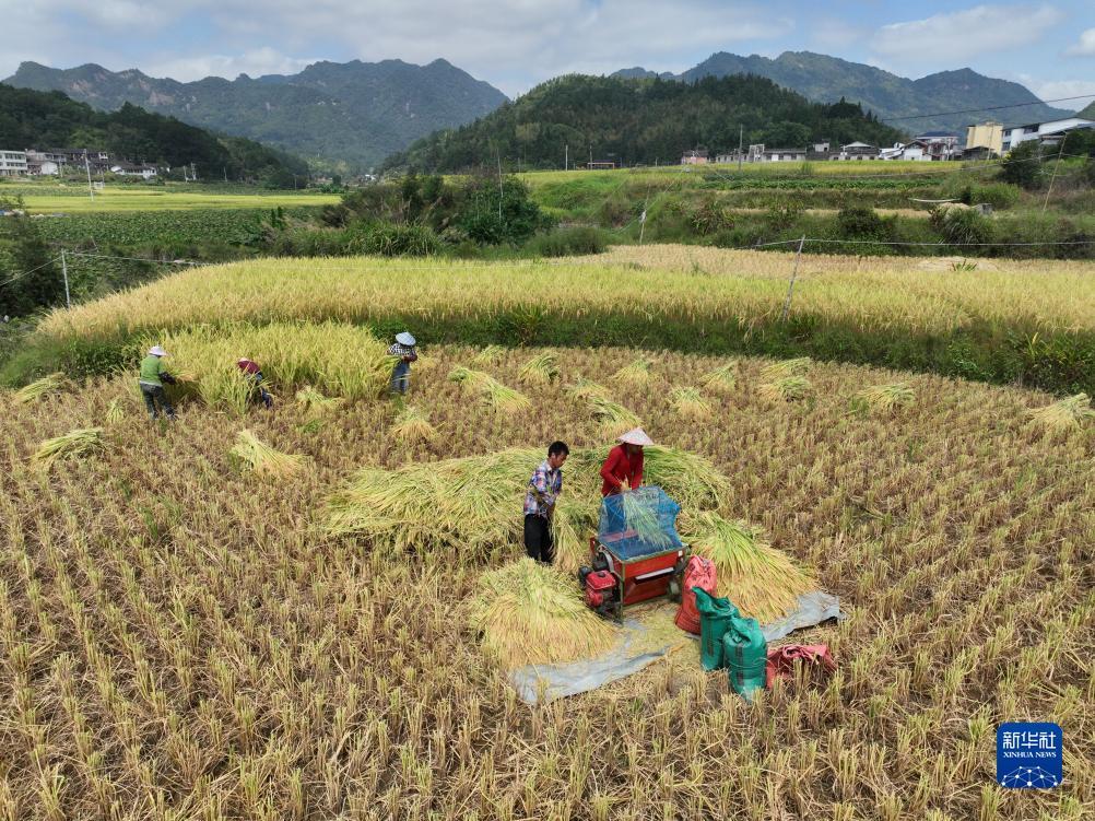 奔驰宝马游戏电玩城